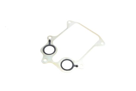 Фланець з прокладками к-кт CBZA,CBZB,CBZC,BKY,BBZ, borsehung B19187