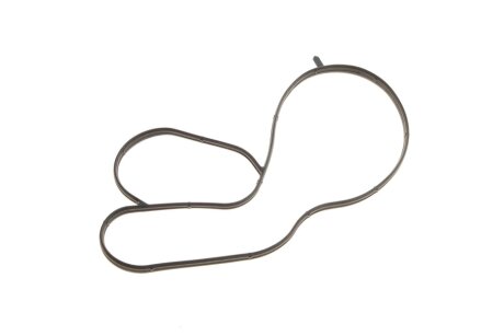 Прокладки ГБЦ (к-кт) CWVA,CWVB 1.6L borsehung B19193