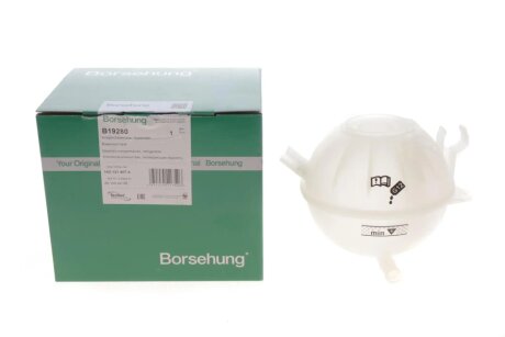 Бачок компенсійний (OE) borsehung B19280