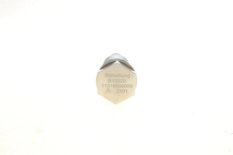 Ремкомплект ГРМ (OE) B18852 + B18853 borsehung B19295