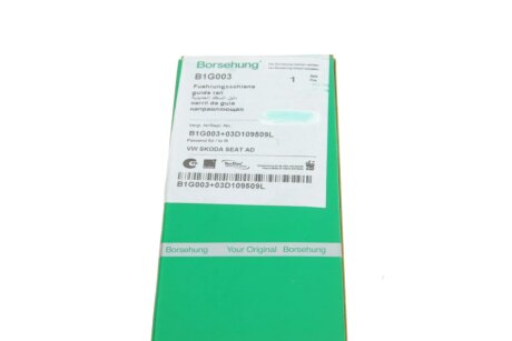 Планка заспокоювача, ланцюг приводу (OE) borsehung B1G003