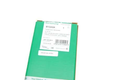 Планка заспокоювача, ланцюг привода (OE) borsehung B1G009