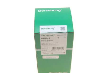 Натяжник ланцюга (OE) borsehung B1G029