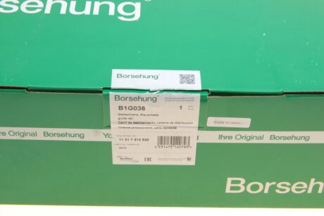 Направляюча планка (OE) borsehung B1G036