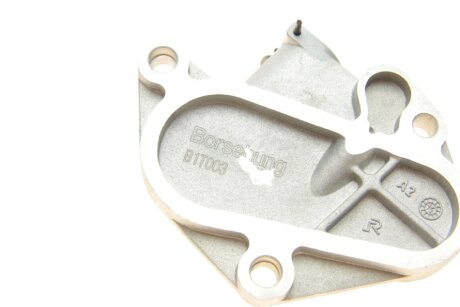 Натяжник ланцюга borsehung B1T003