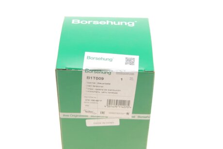 Натяжник ланцюга (OE) borsehung B1T009