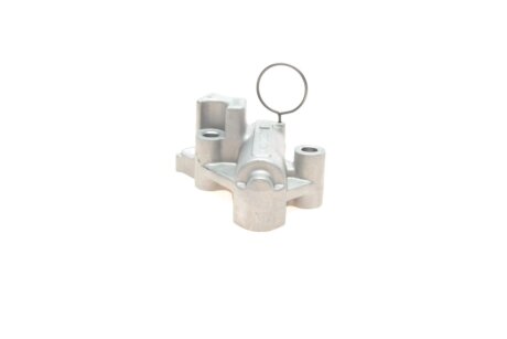 Натягувач ланцюга borsehung B1T017