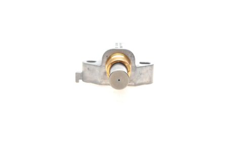 Натягувач ланцюга (OE) borsehung B1T024