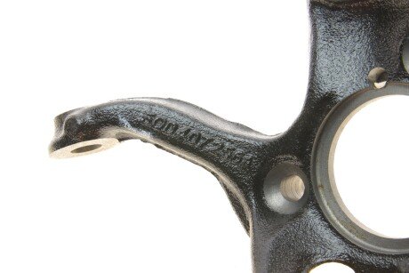 Цапфа (поворотный кулак) borsehung B18509