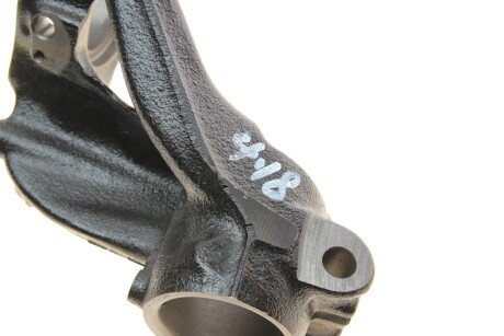 Цапфа (поворотный кулак) borsehung B18509