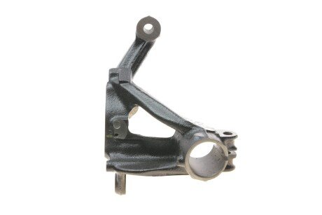 Цапфа (поворотный кулак) borsehung B18509