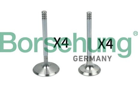 Клапан borsehung B18148