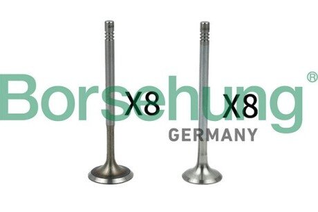Клапан borsehung B18630