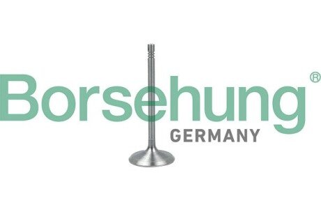 Клапан borsehung B19017