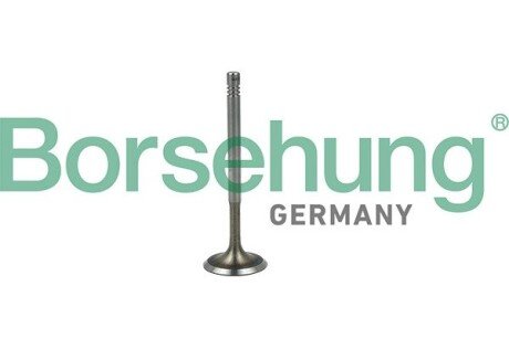 Клапан borsehung B19019