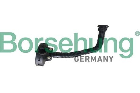 Клапан системи вентиляції borsehung B19055 на Шкода Октавия а5