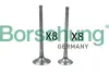 Впускной клапан borsehung B18634