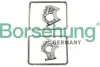 Комплект ланцюга ГРМ borsehung B10243
