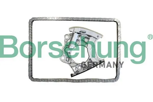 Комплект ланцюга ГРМ borsehung B10244