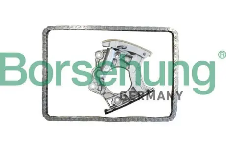 Комплект ланцюга ГРМ borsehung B10244