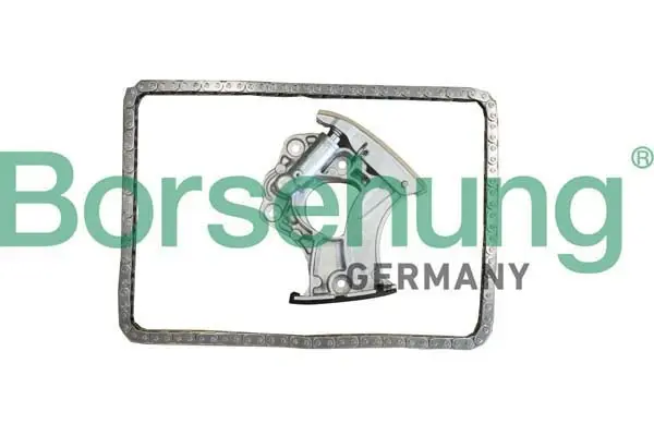 Комплект ланцюга ГРМ borsehung B10245
