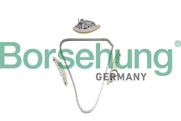 Комплект ланцюга ГРМ borsehung B10246