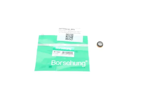 Масляний фільтр Borsehung B11897