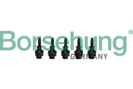 Набір гвинтів (5 шт) ущільнення корпусу ГРМ borsehung B10628