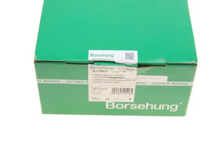 Передний амортизатор borsehung B17903