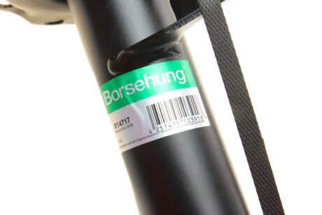 Передній амортизатор (стойка) borsehung B14717