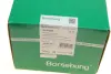 Підшипник маточини (комплект) borsehung B19309