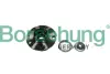 Подшипник задней ступицы borsehung B11287