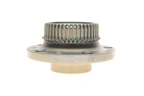 Подшипник задней ступицы borsehung B19231