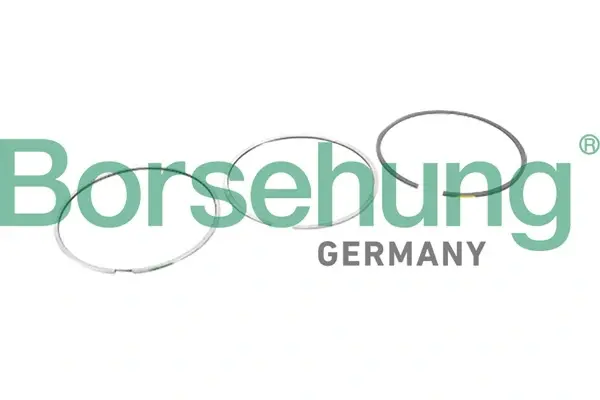 Поршневые кольца Borsehung B10364 (фото 1)