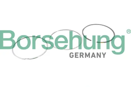 Поршневые кольца Borsehung B10364