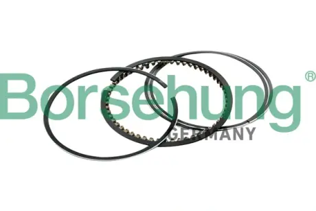 Поршневые кольца Borsehung B10367