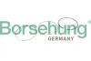 Поршневые кольца borsehung B10368