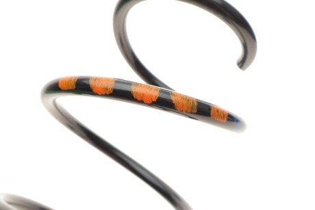 Пружина передняя borsehung B12561