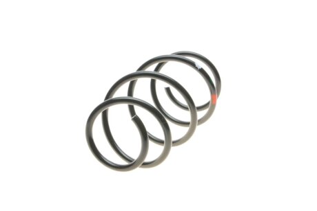 Пружина передняя borsehung B12563