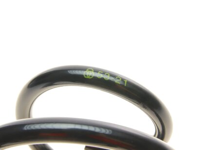 Пружина передняя borsehung B12623