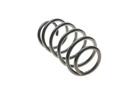 Пружина передняя borsehung B12623