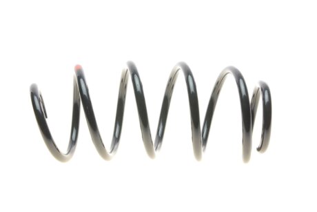 Пружина передняя borsehung B12623