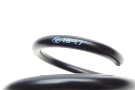 Пружина передняя borsehung B19305