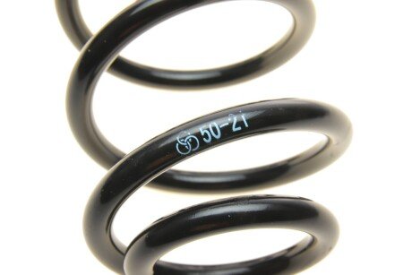 Задня пружина borsehung B12566