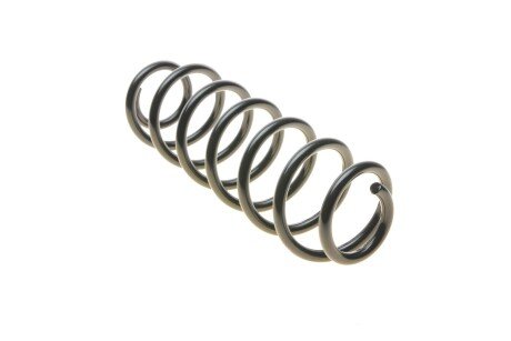 Задня пружина borsehung B12566