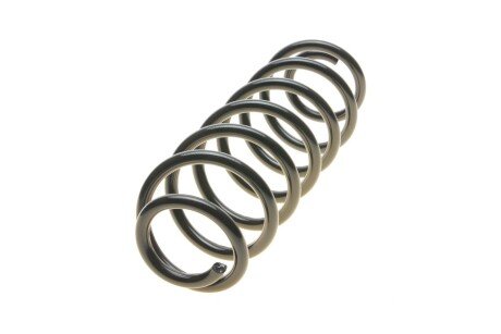 Задня пружина borsehung B12566