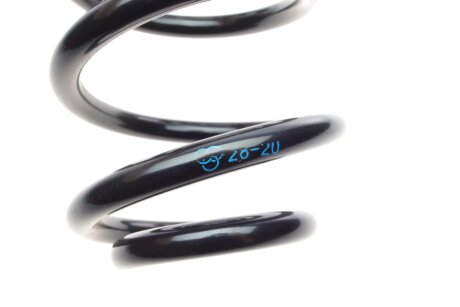 Задня пружина borsehung B12624