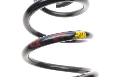 Задня пружина borsehung B12624