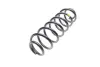 Задня пружина Borsehung B12624 (фото 6)