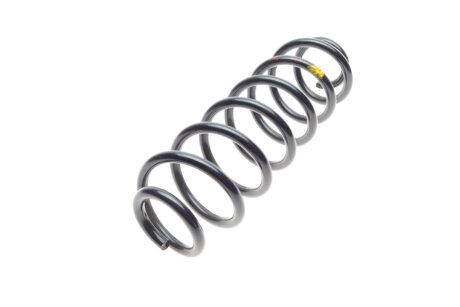 Задня пружина borsehung B12624